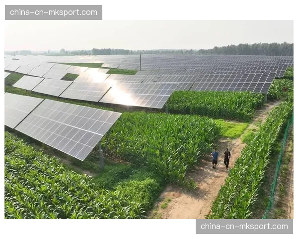 北京工人体育场绿色改造完成，光伏板穹顶保障场馆日常运行优化观赛体验